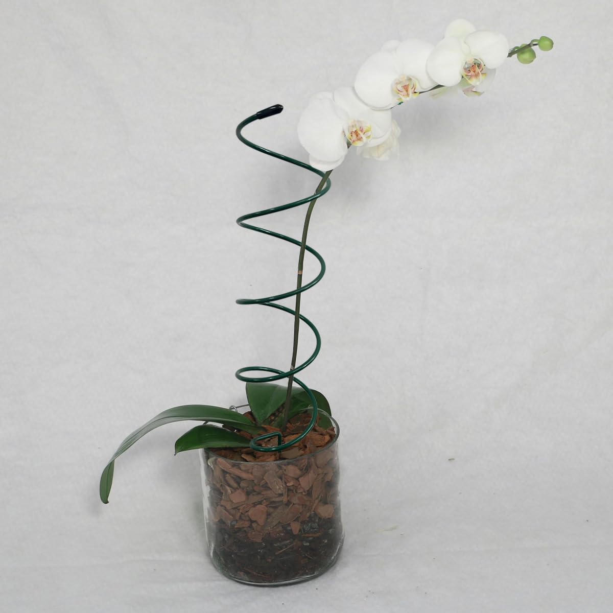 KVZVK spiral tomato stake suitable for indoor and outdoor use in various setups.
