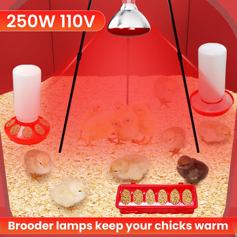 Kweetle 12-hole chick feeders offering consistent access to feed