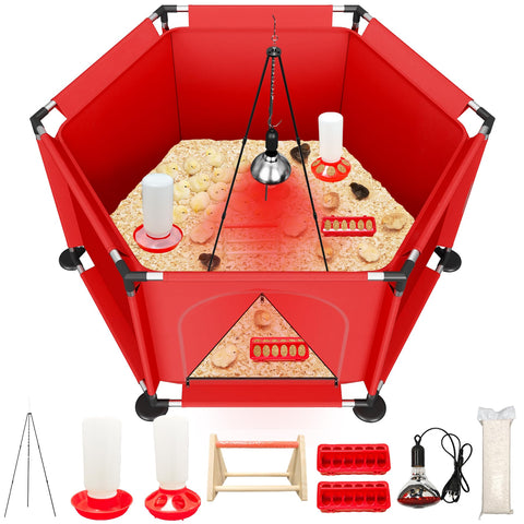 Kweetle brooder box setup showing a complete starter kit for chicks