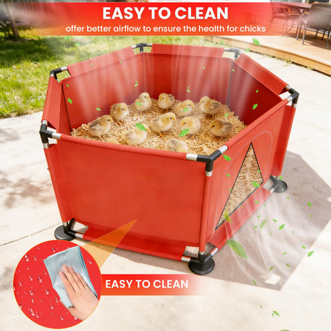 Kweetle brooder pen with feeders and waterer simplifies early poultry care.