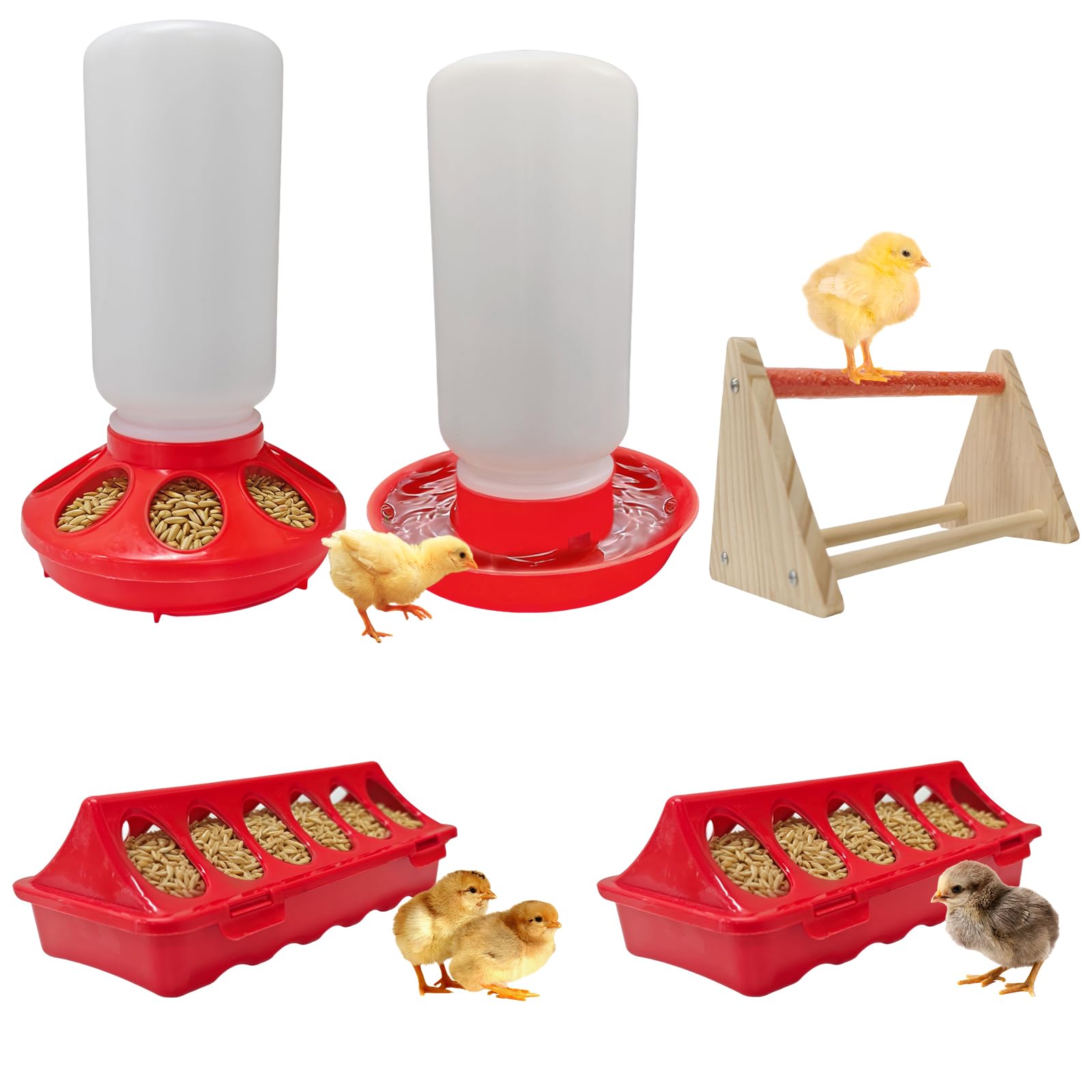 Kweetle chick feeder-waterer starter kit in a brooder for clean hydration