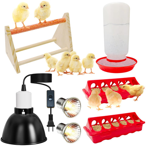 Kweetle chick starter kit front view with feeders, waterer, and heat lamp for brooding