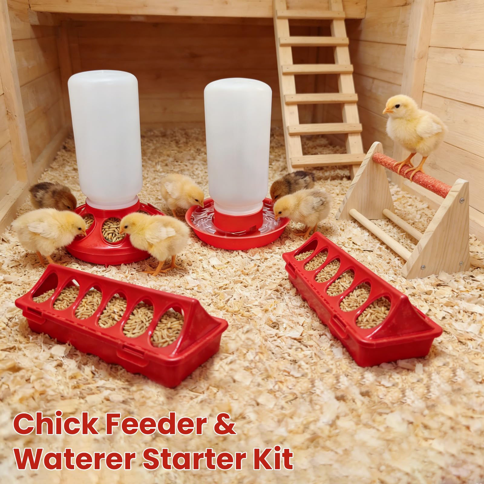 Kweetle durable smooth-plastic construction resists cracking during use