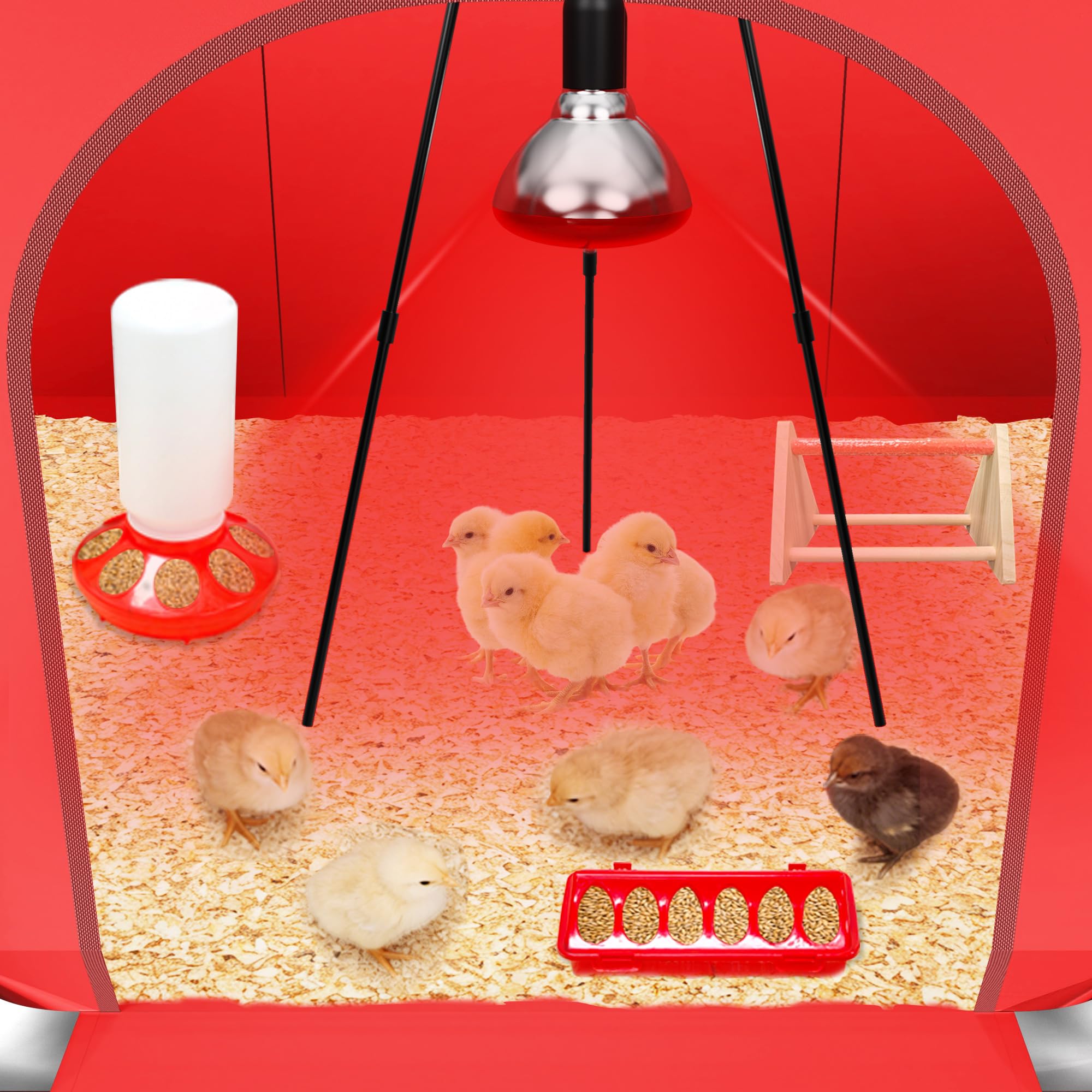 Kweetle heat lamp on adjustable stand provides precise warmth for early development.