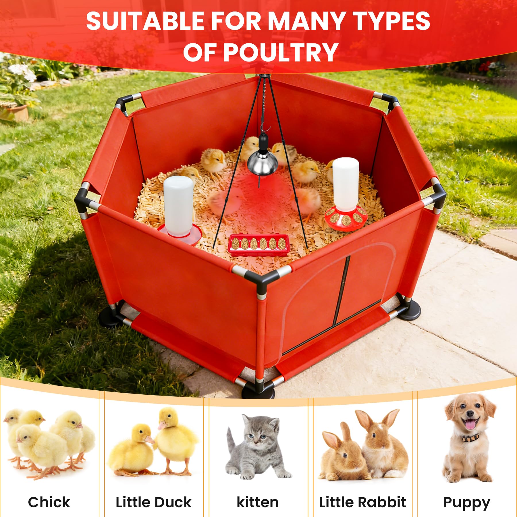 Kweetle heat lamp with stand providing steady warmth for growing chicks