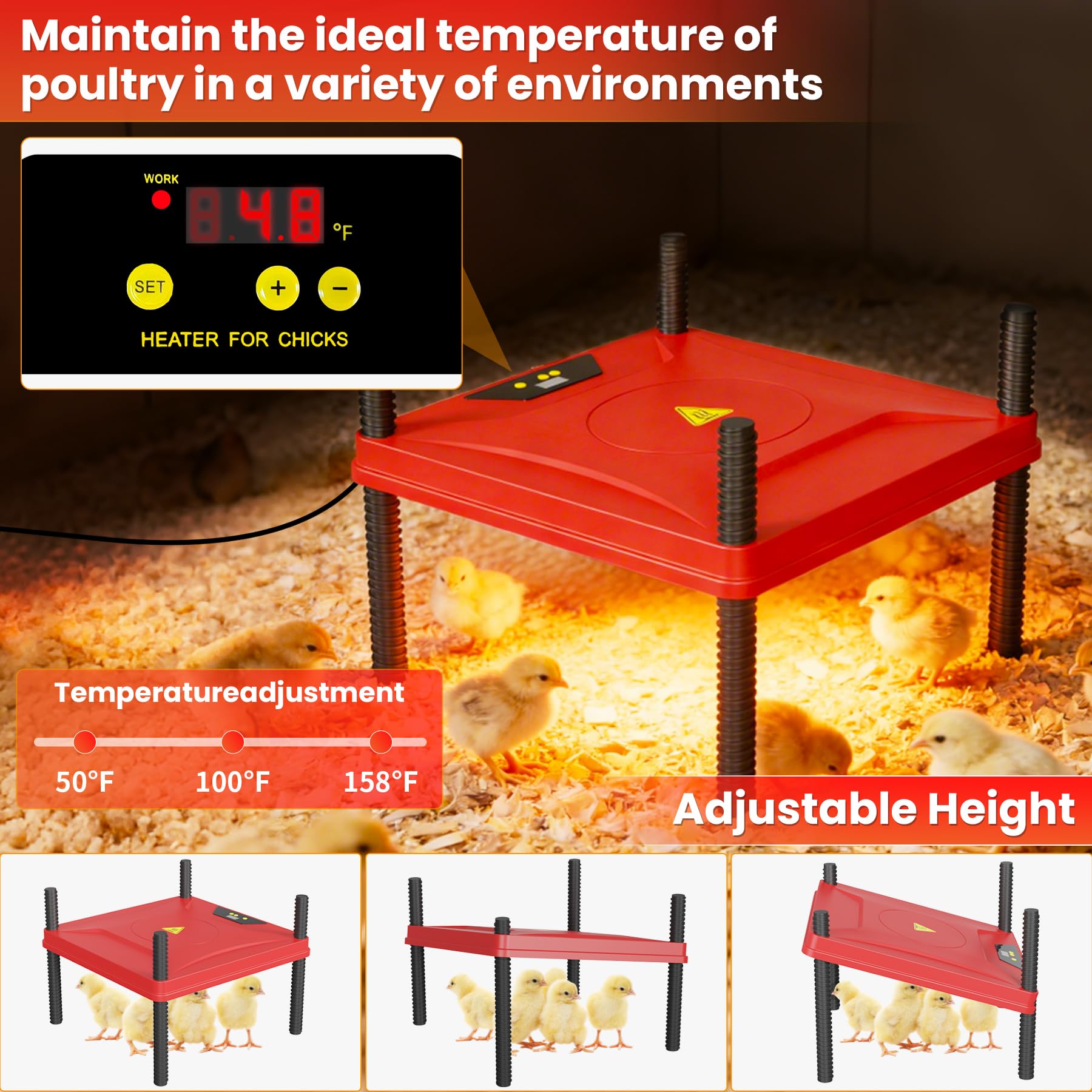 Kweetle heat plate setup maintains chick comfort with adjustable temperature.