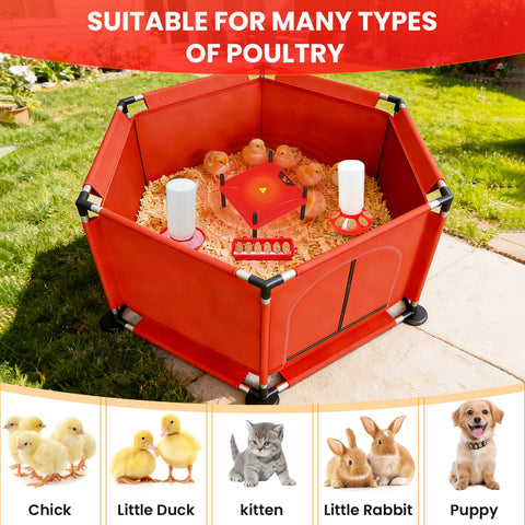 Kweetle indoor poultry setup is portable and easy to move.