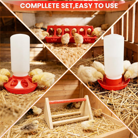 Kweetle premium sawdust bedding keeps chicks dry and comfortable