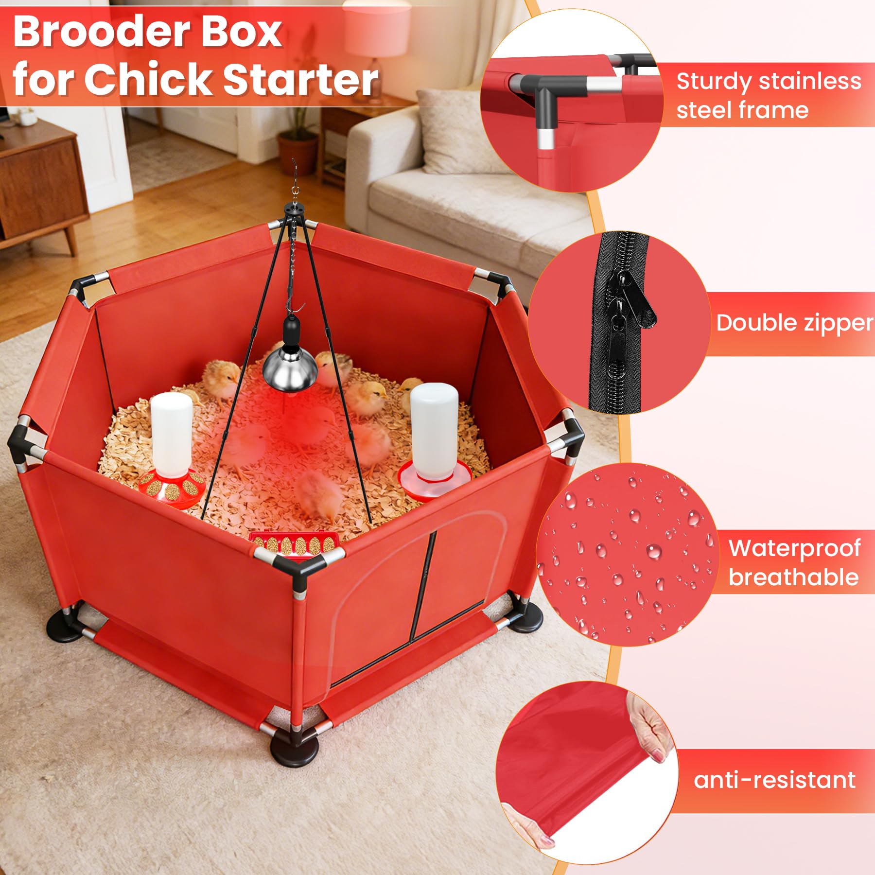 Kweetle round feeder simplifying feeding for multiple chicks