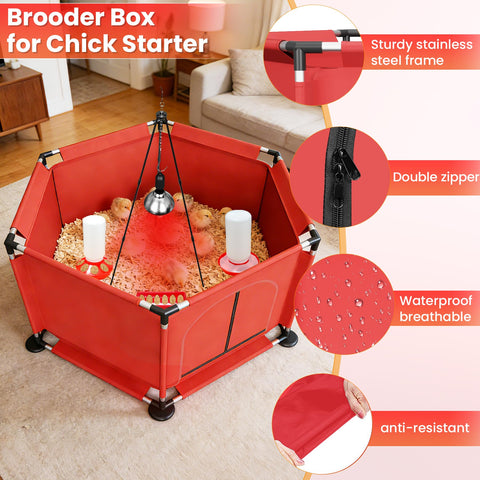 Kweetle round feeder simplifying feeding for multiple chicks