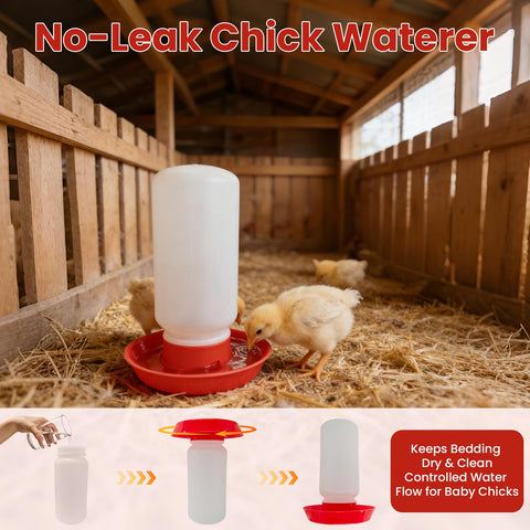 Kweetle starter kit used with ducklings and quail for small poultry