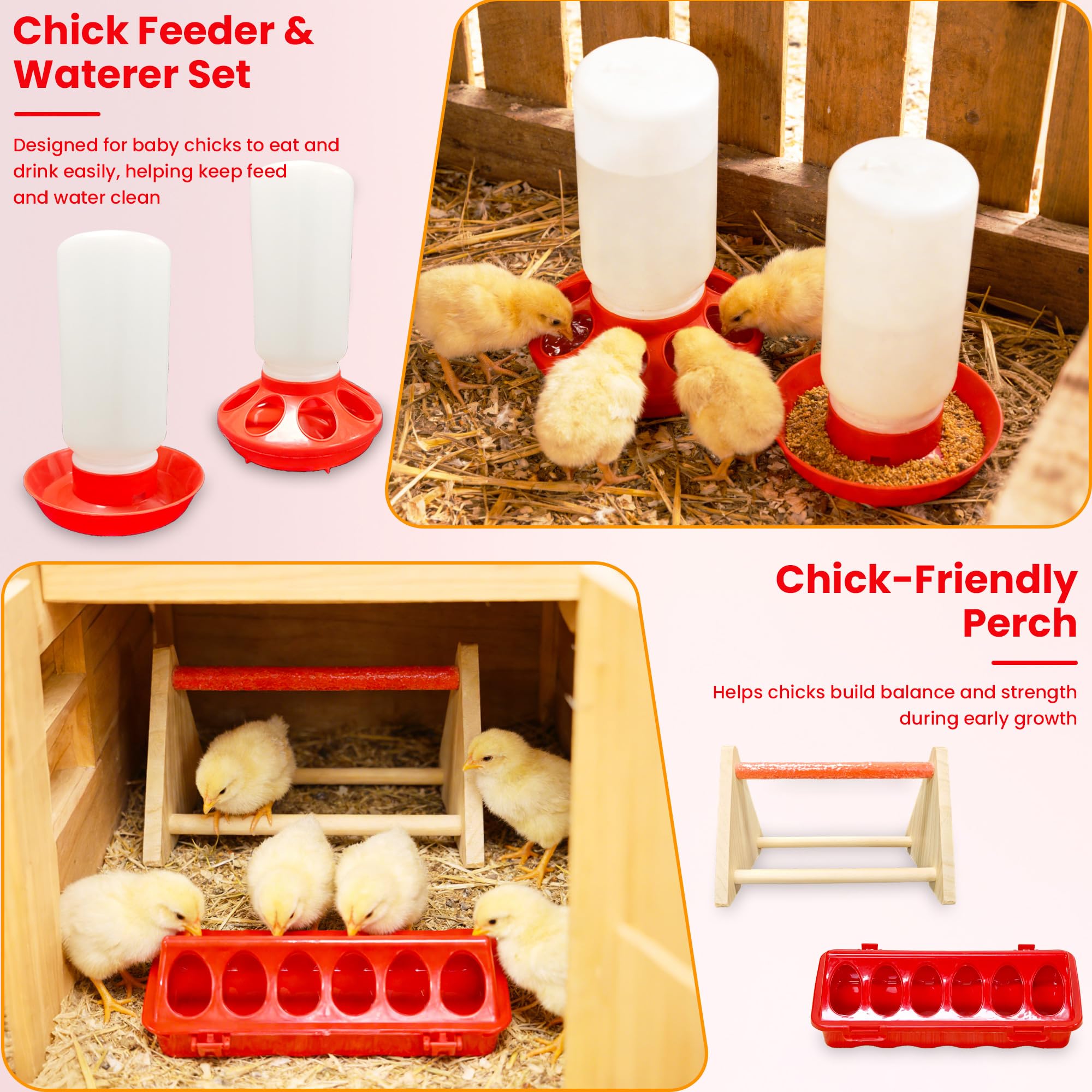 Kweetle sturdy frame with Oxford fabric supports a durable brood environment.