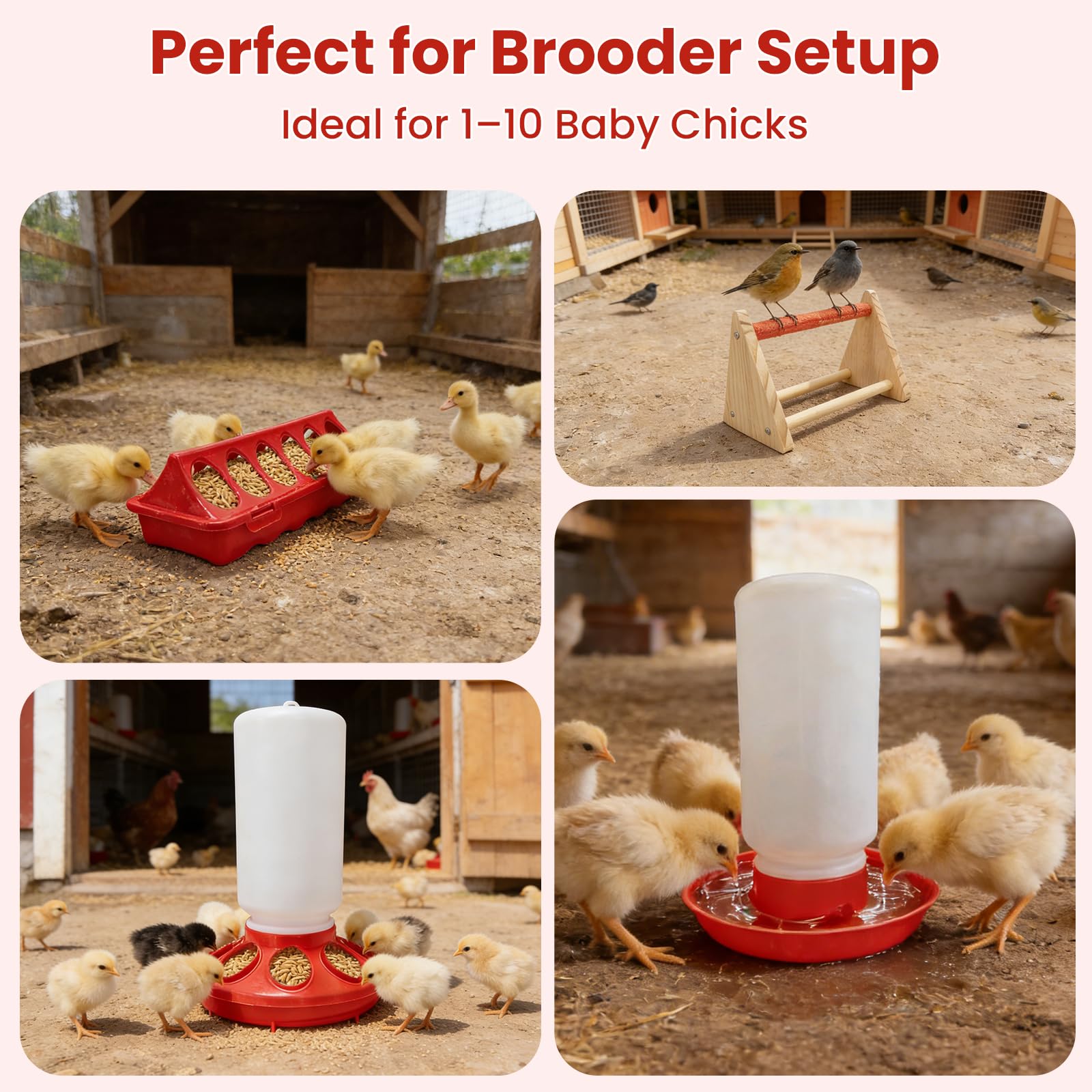 Kweetle two trough feeders keep feed accessible and tidy for multiple chicks
