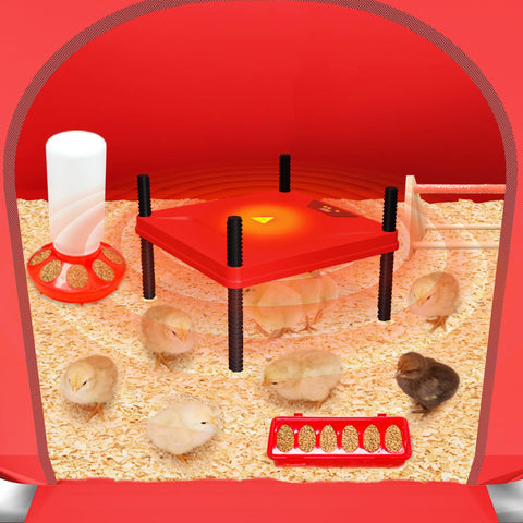 Kweetle waterer and feeder integrated into the system for convenience.