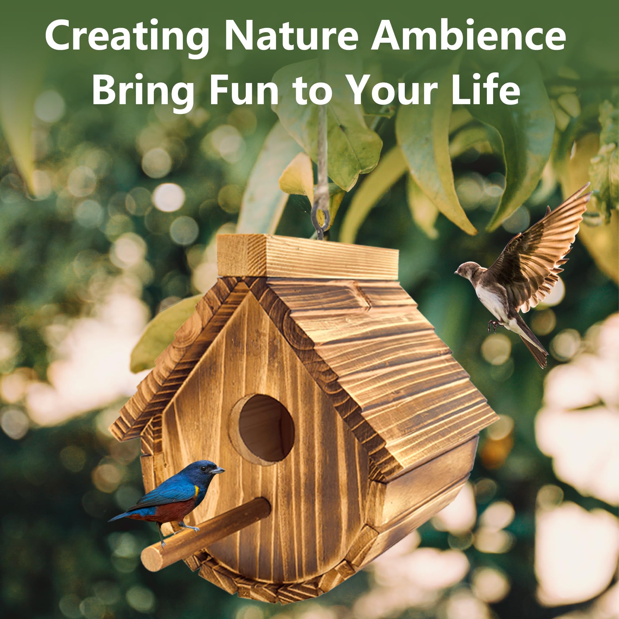KWISAMR chickadee-friendly nest space supports small garden birds.