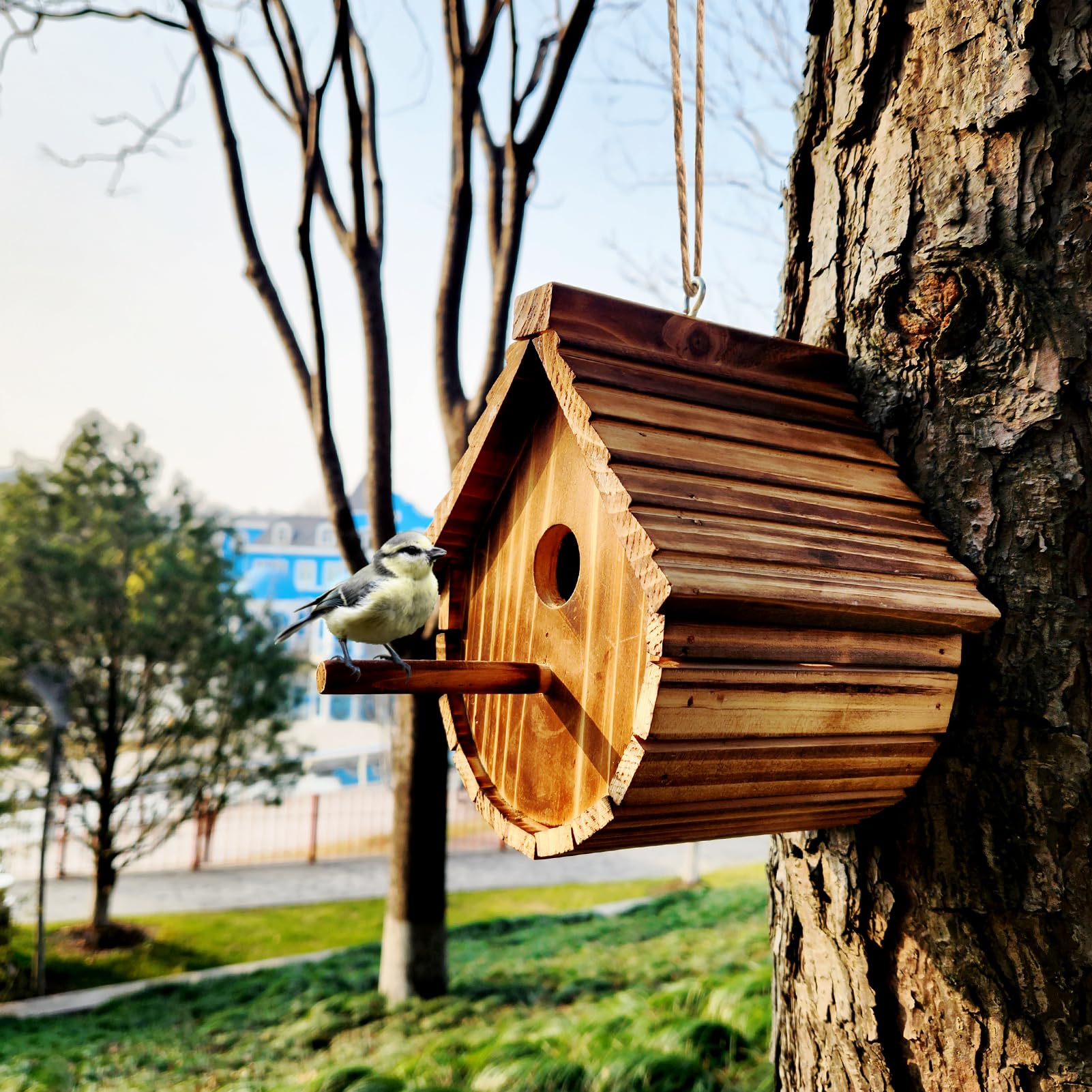 KWISAMR wren house designed for year-round outdoor use in gardens and patios.
