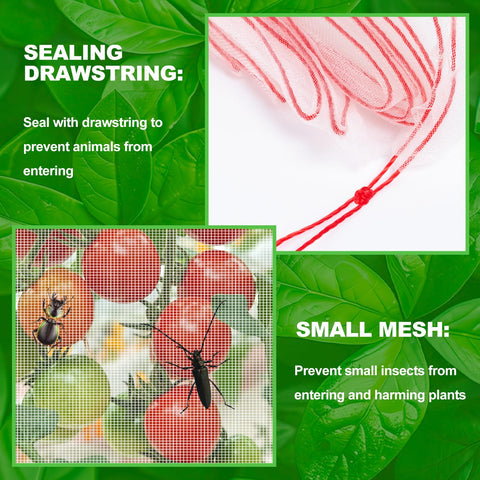 KXCOFTXI drawstring netting secured around a tomato plant