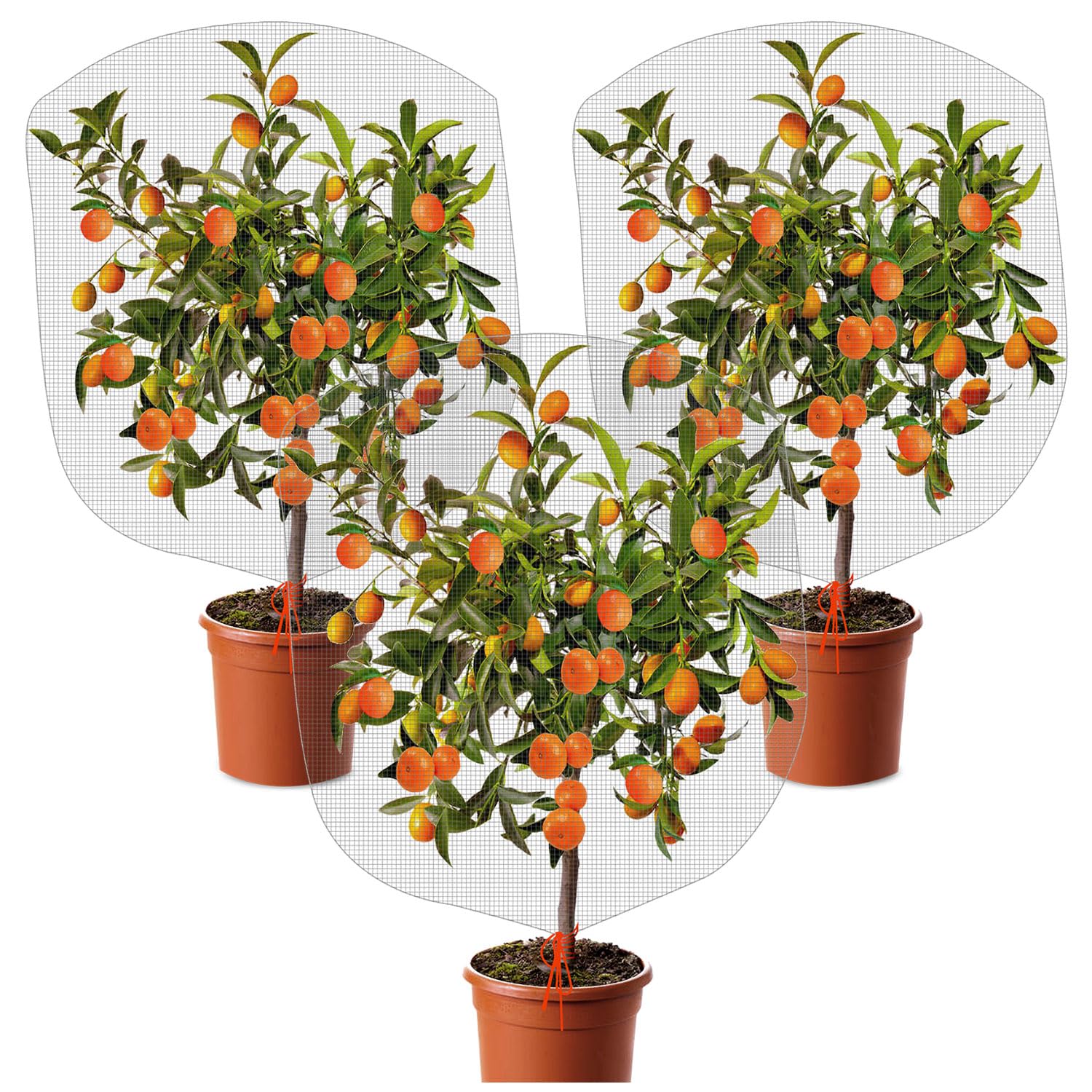 KXCOFTXI plant barrier net mesh over a strawberry plant deterring birds.
