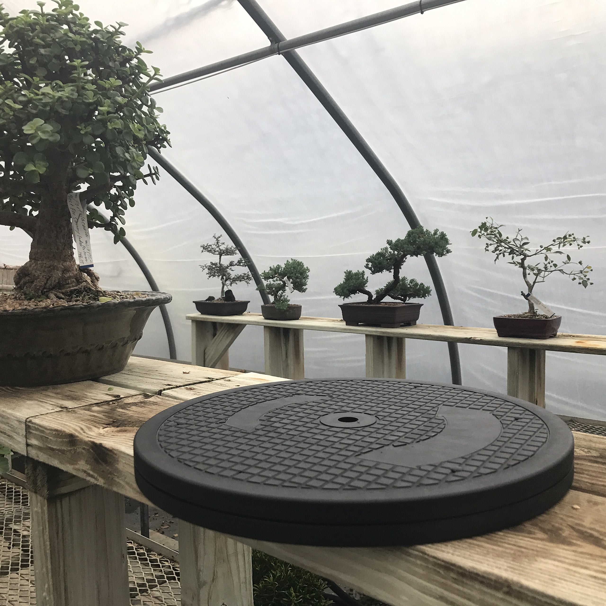 Kydely Mighty Mini Bonsai Turntable enables 360-degree rotation for precise pruning.