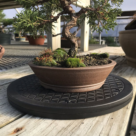 Indoor or outdoor ready for versatile placement and use.