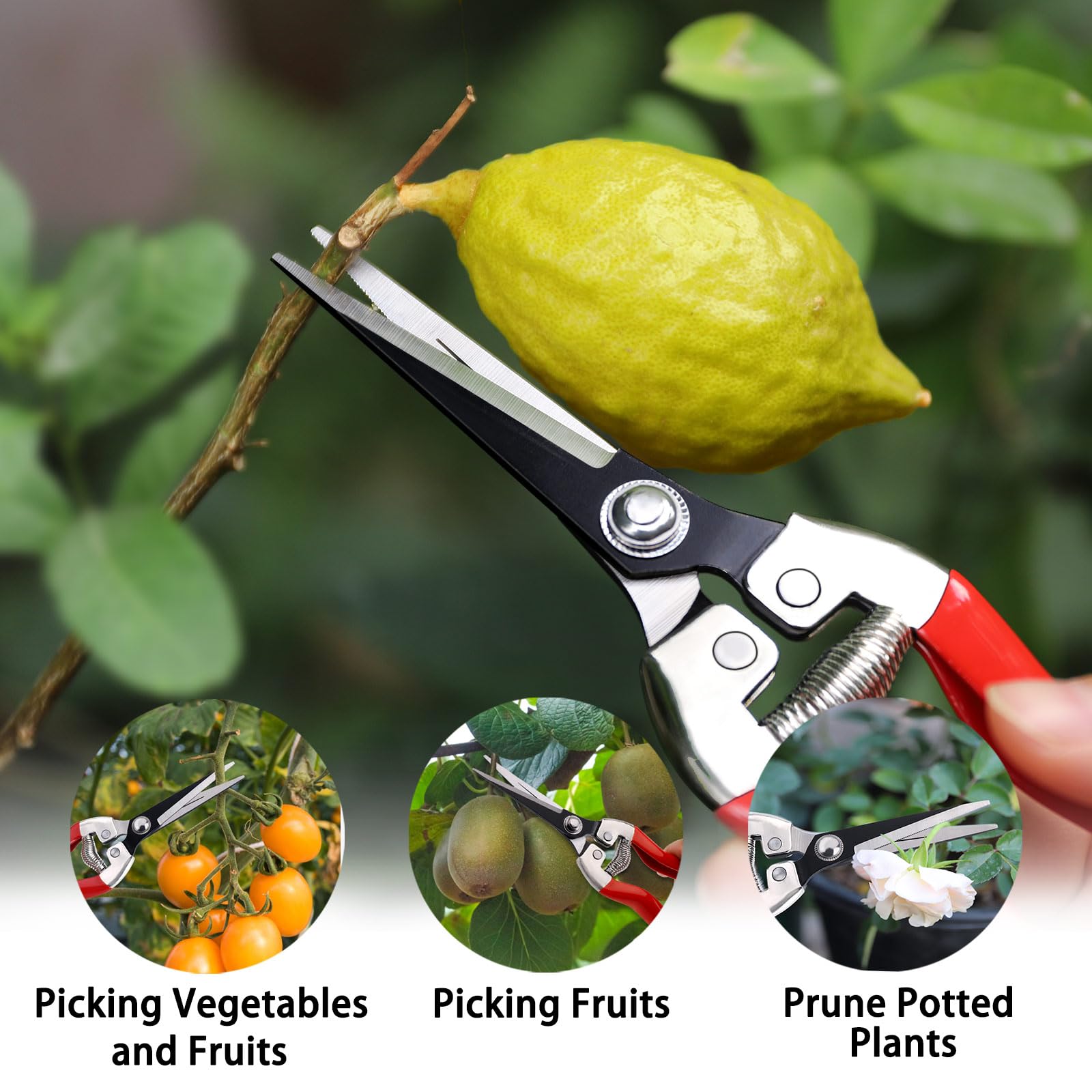 Kynup stainless steel pruners built for durability and lasting sharpness.