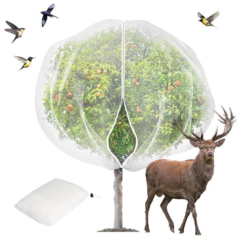 KYRGEU fruit tree netting covers 15x15 ft to protect fruit trees from birds.