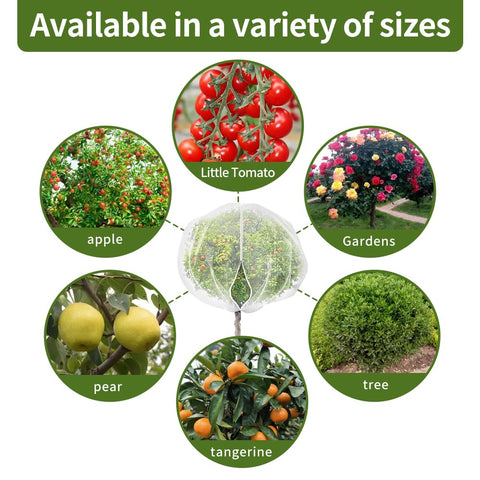 KYRGEU protects crops while preserving airflow and irrigation.