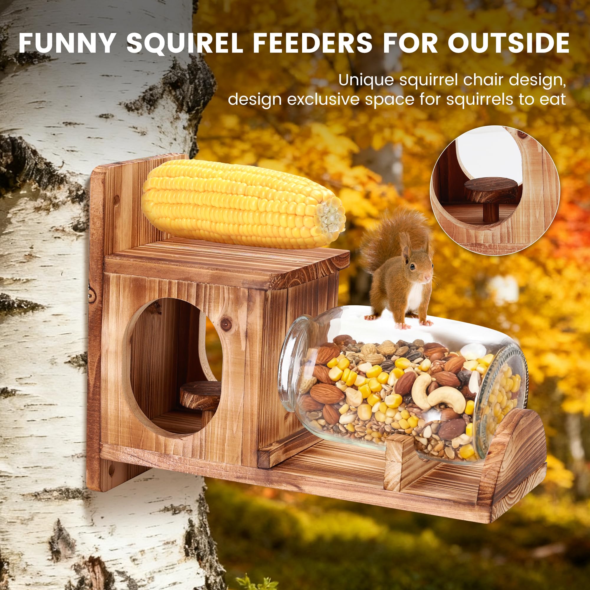 Kyuuhiku Squirrel Feeder with glass jar viewing window for easy monitoring.