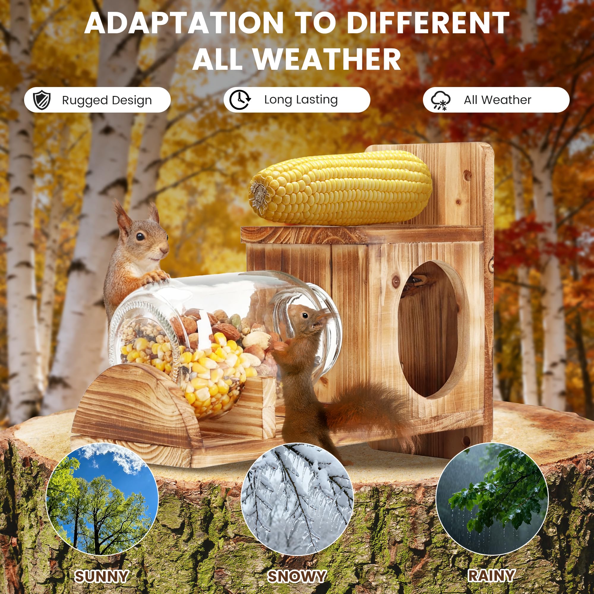 Kyuuhiku Squirrel Feeder showcases weather-resistant wood finish.