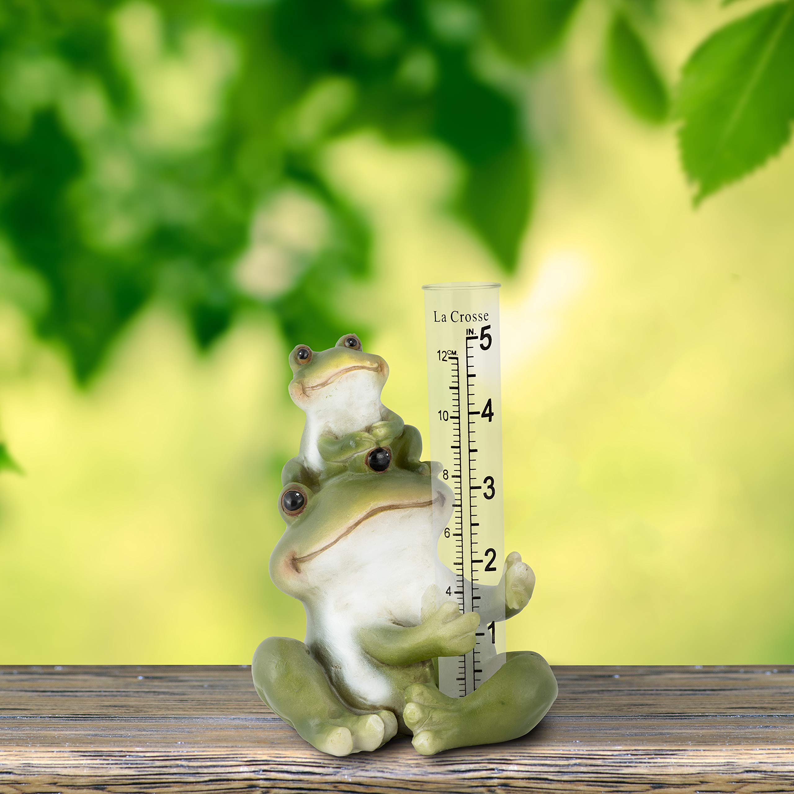 La Crosse frog garden decor doubles as a practical rainfall reader.