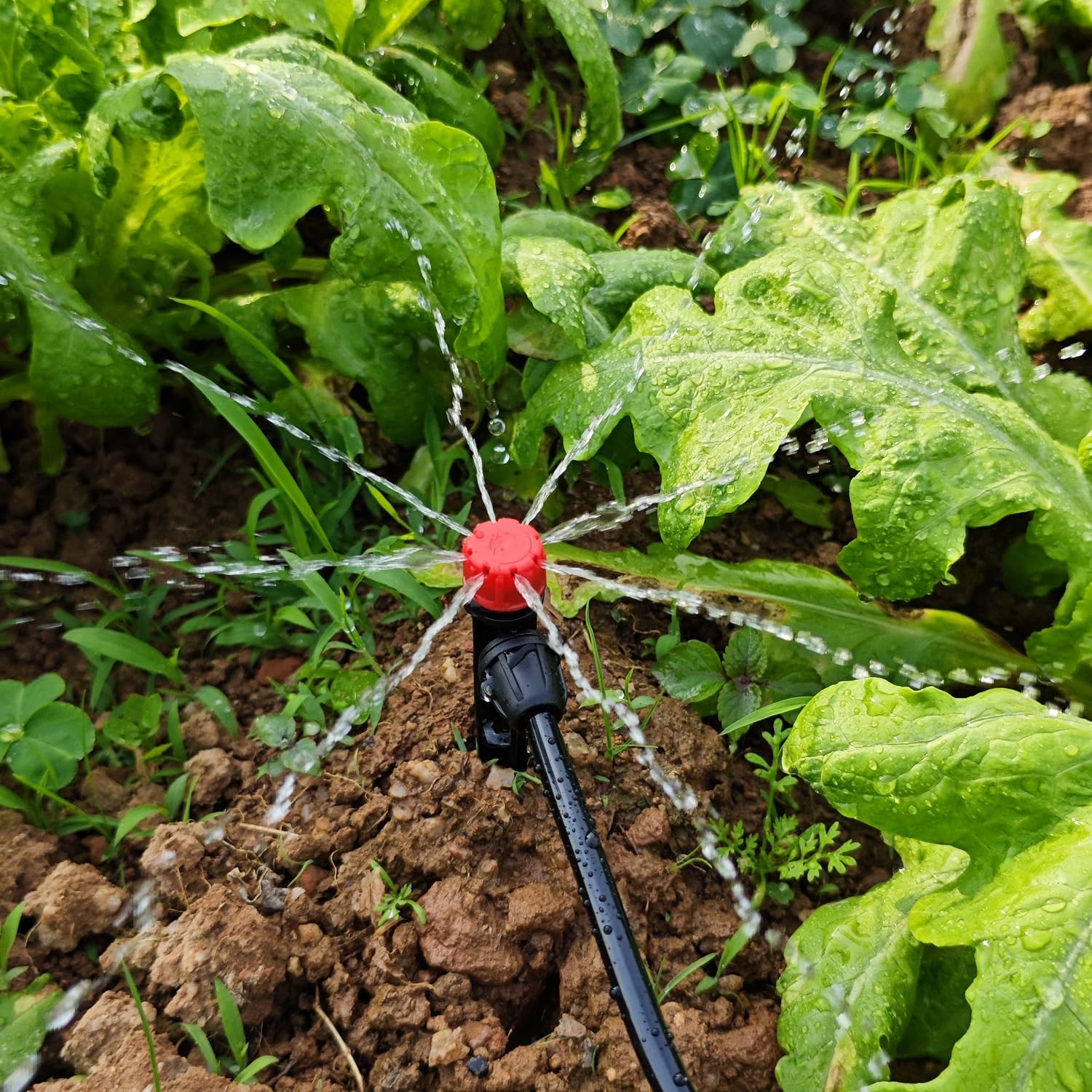 La Farah emitter delivers up to 18 GPH for efficient container irrigation.