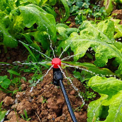 La Farah emitter delivers up to 18 GPH for efficient container irrigation.