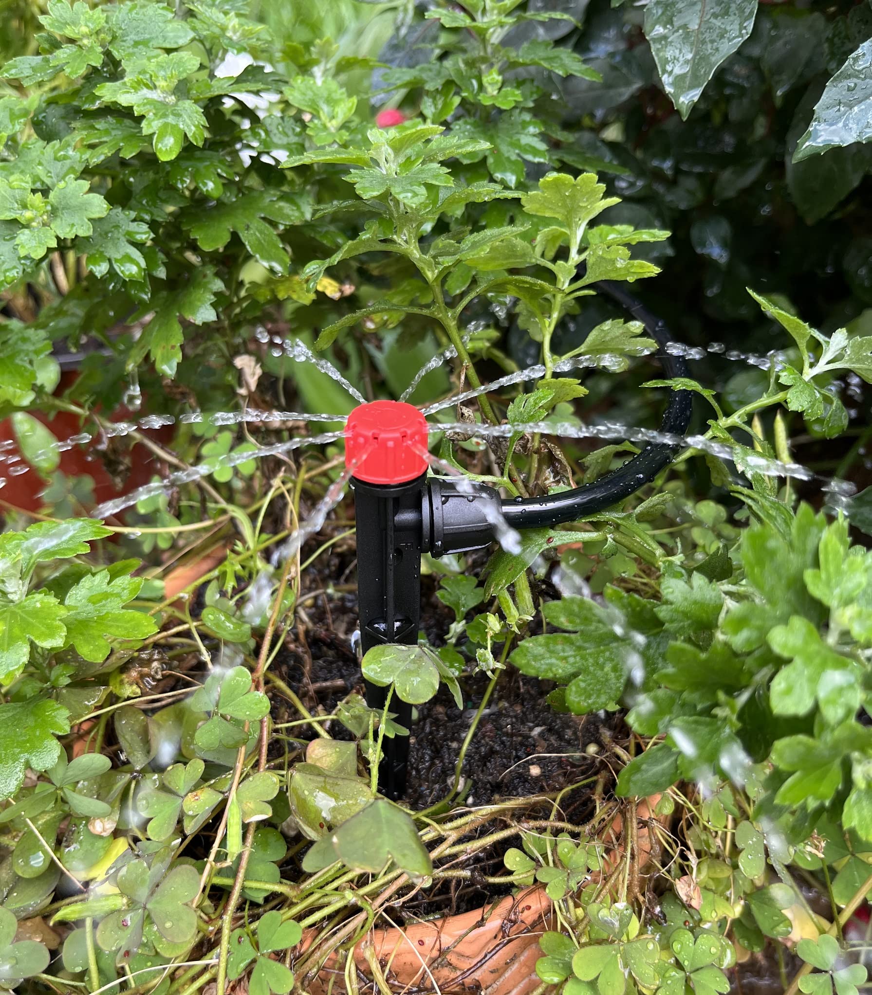 La Farah garden irrigation application for pots, containers, and greenhouses.