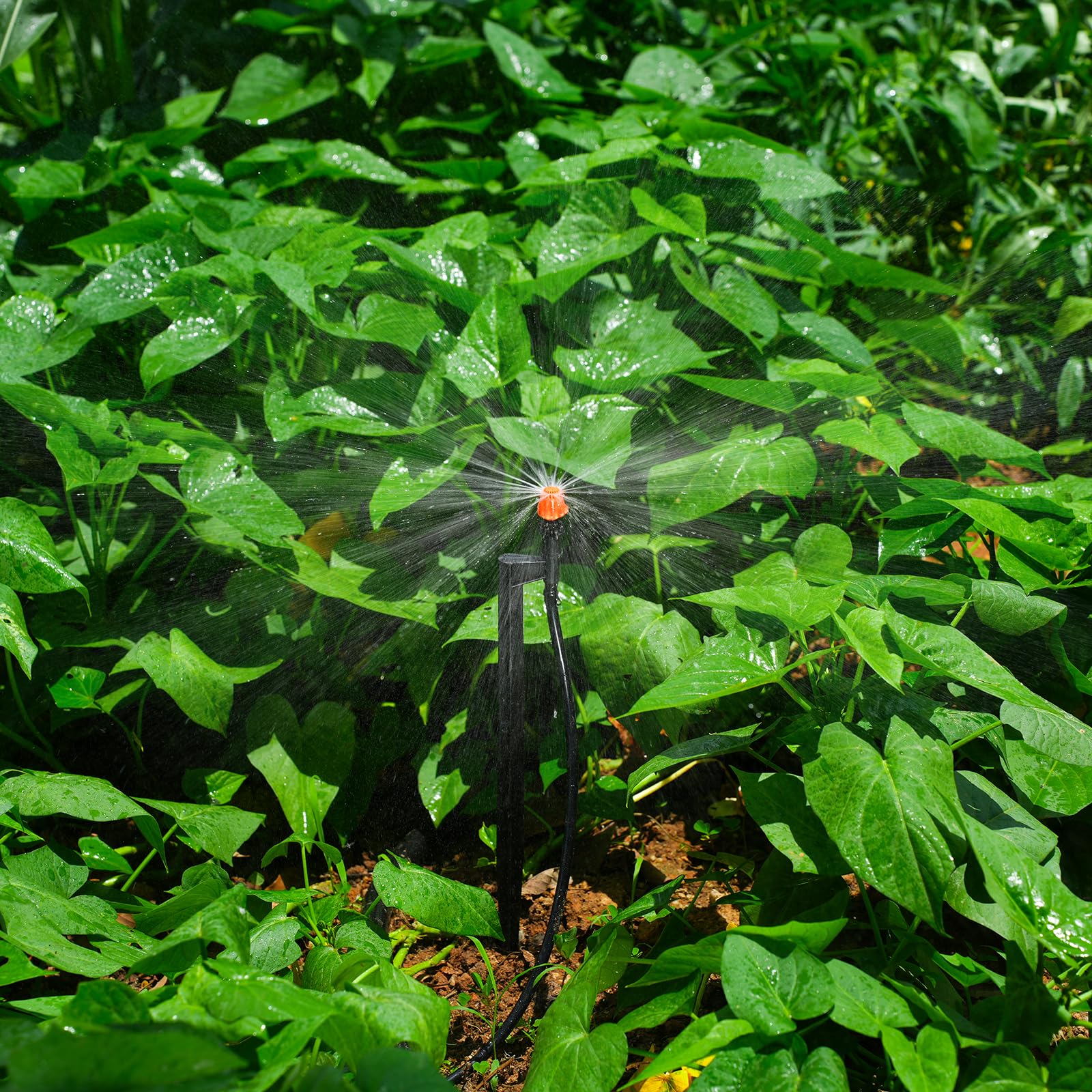 La Farah space-saving sprinkler head design suits compact gardens and tight beds