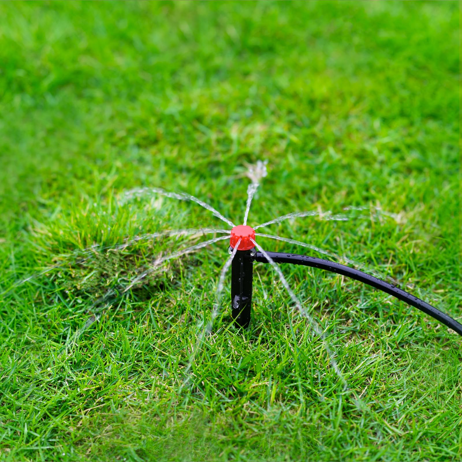 La Farah wide-flow design delivers coverage for pots, trees, and shrubs.