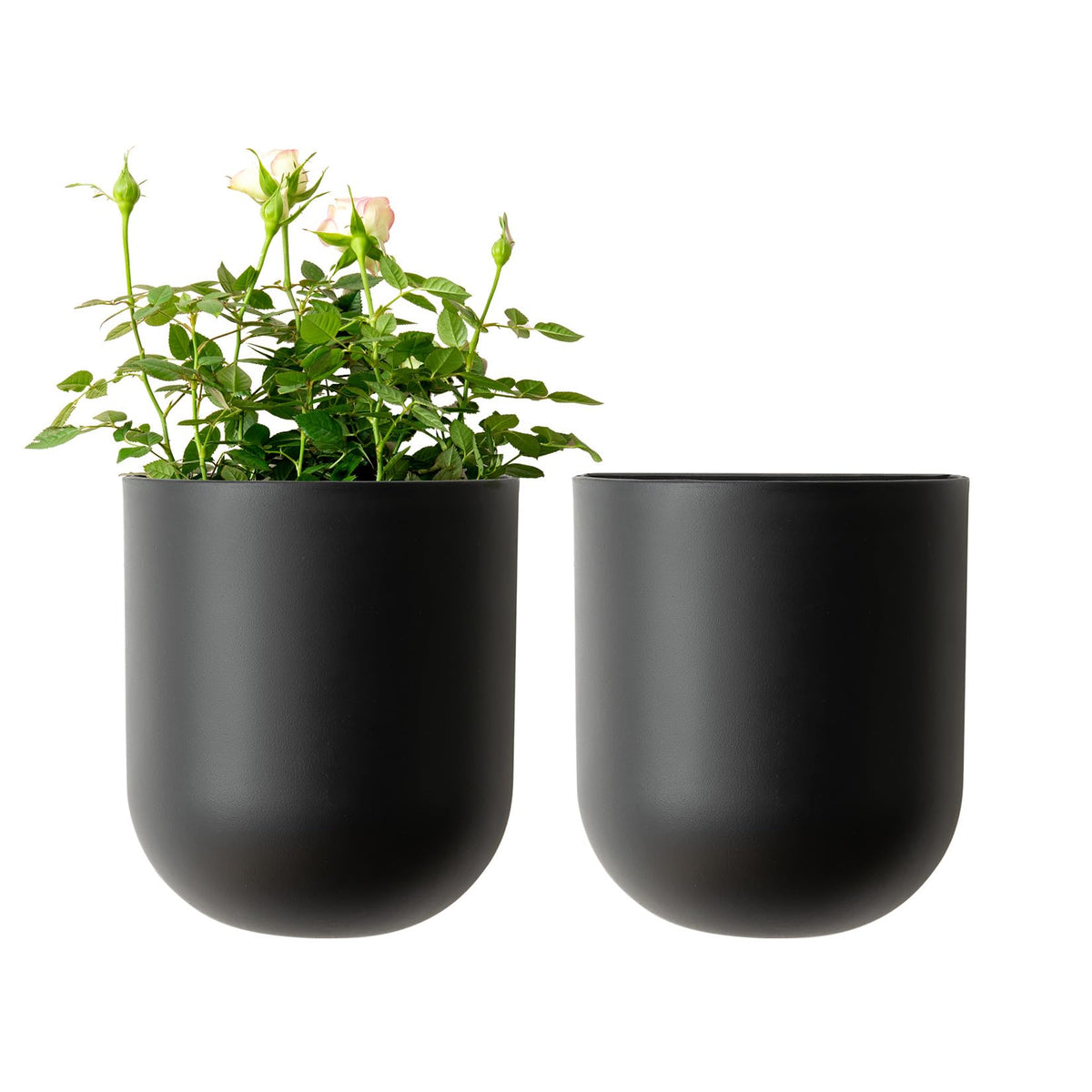 LA JOLIE MUSE wall-hanging planter front view for space-saving indoor greenery.