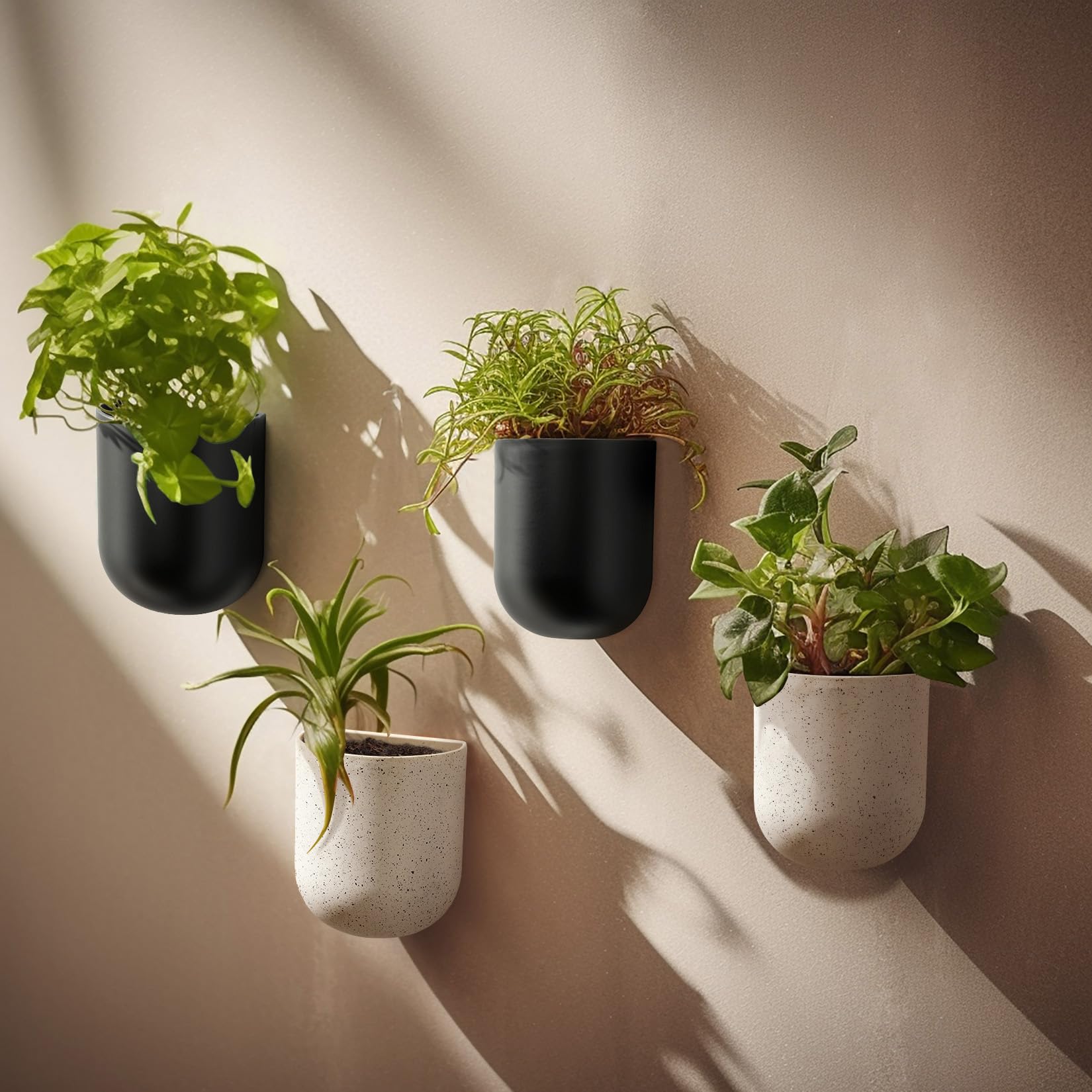LA JOLIE MUSE indoor display with minimalist black finish complements windowsills and hallways.