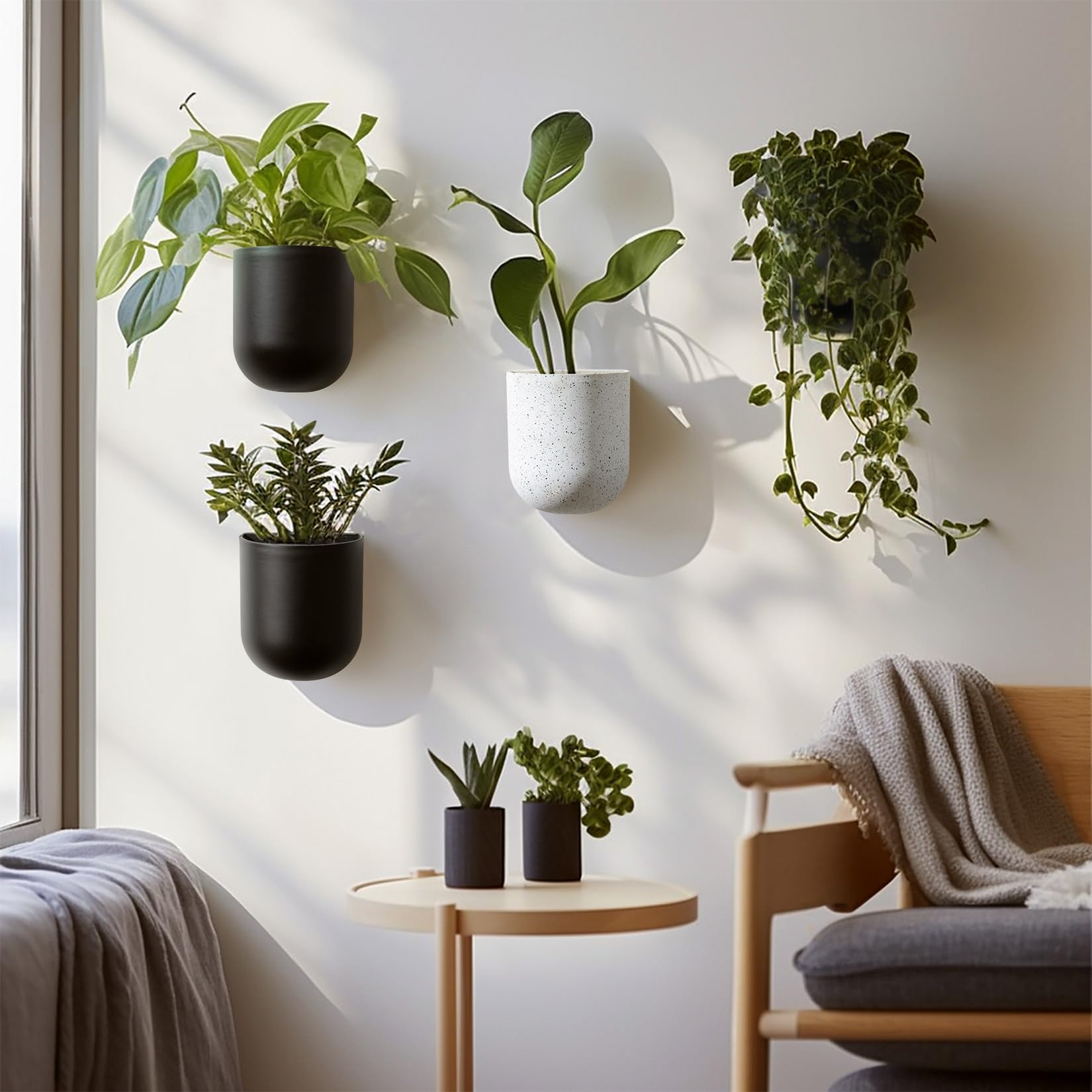 LA JOLIE MUSE wall planter fits pothos, succulents, and cacti beautifully.