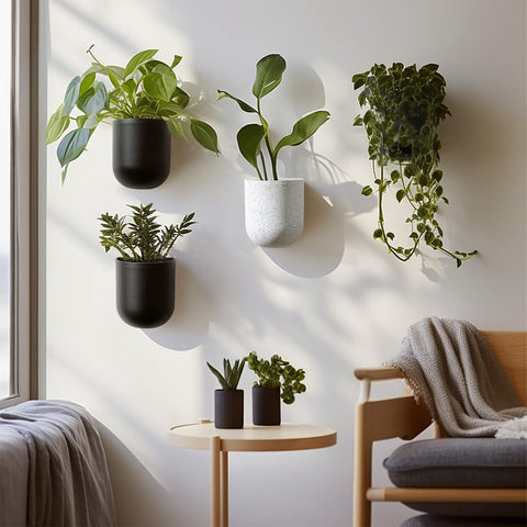 LA JOLIE MUSE wall planter fits pothos, succulents, and cacti beautifully.