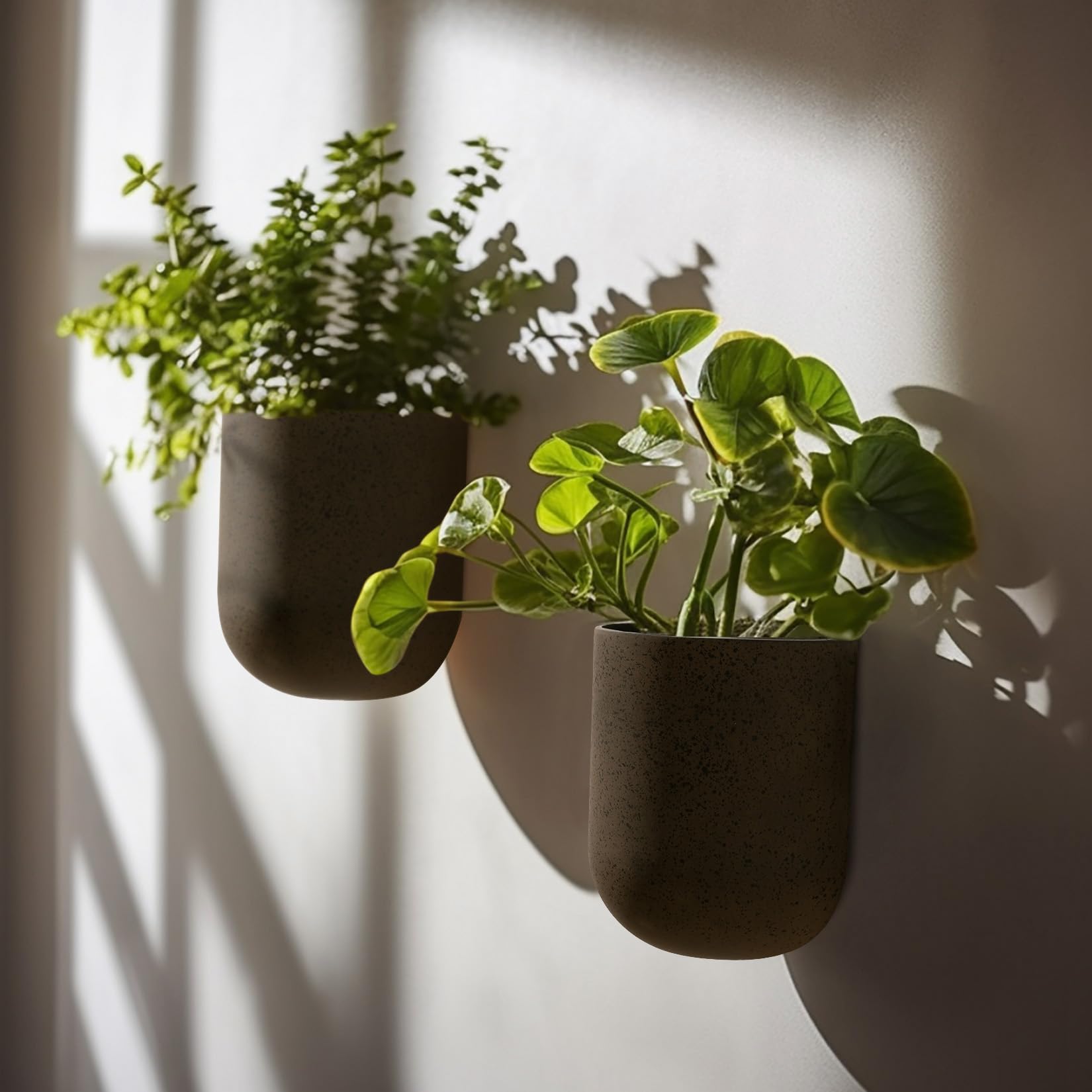 LA JOLIE MUSE pocket planter with iron rust finish mounts easily on walls.