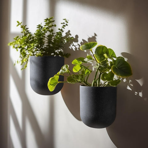 LA JOLIE MUSE planter supports pothos and air plants for living wall art