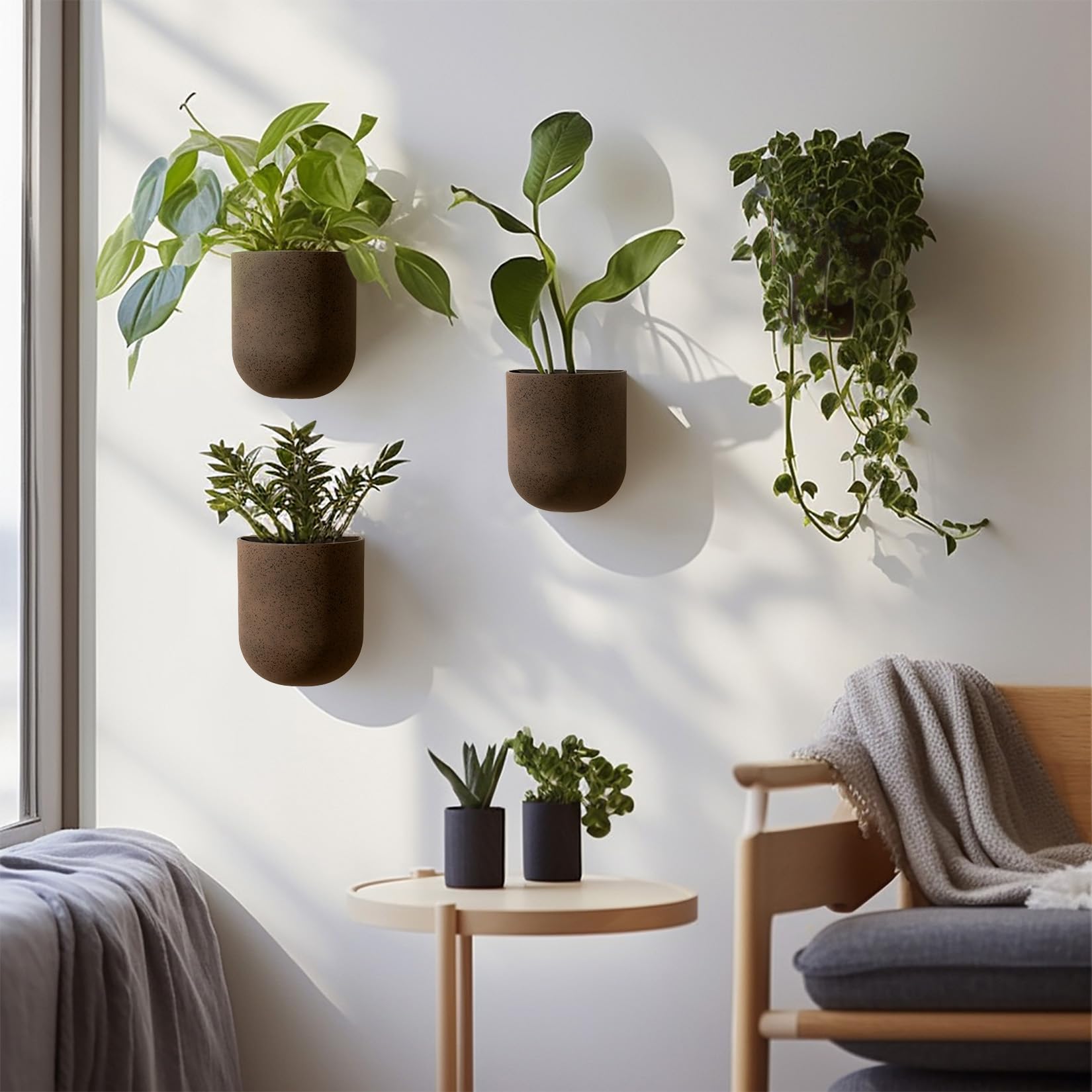 LA JOLIE MUSE wall planter supports succulents and small greens beautifully.