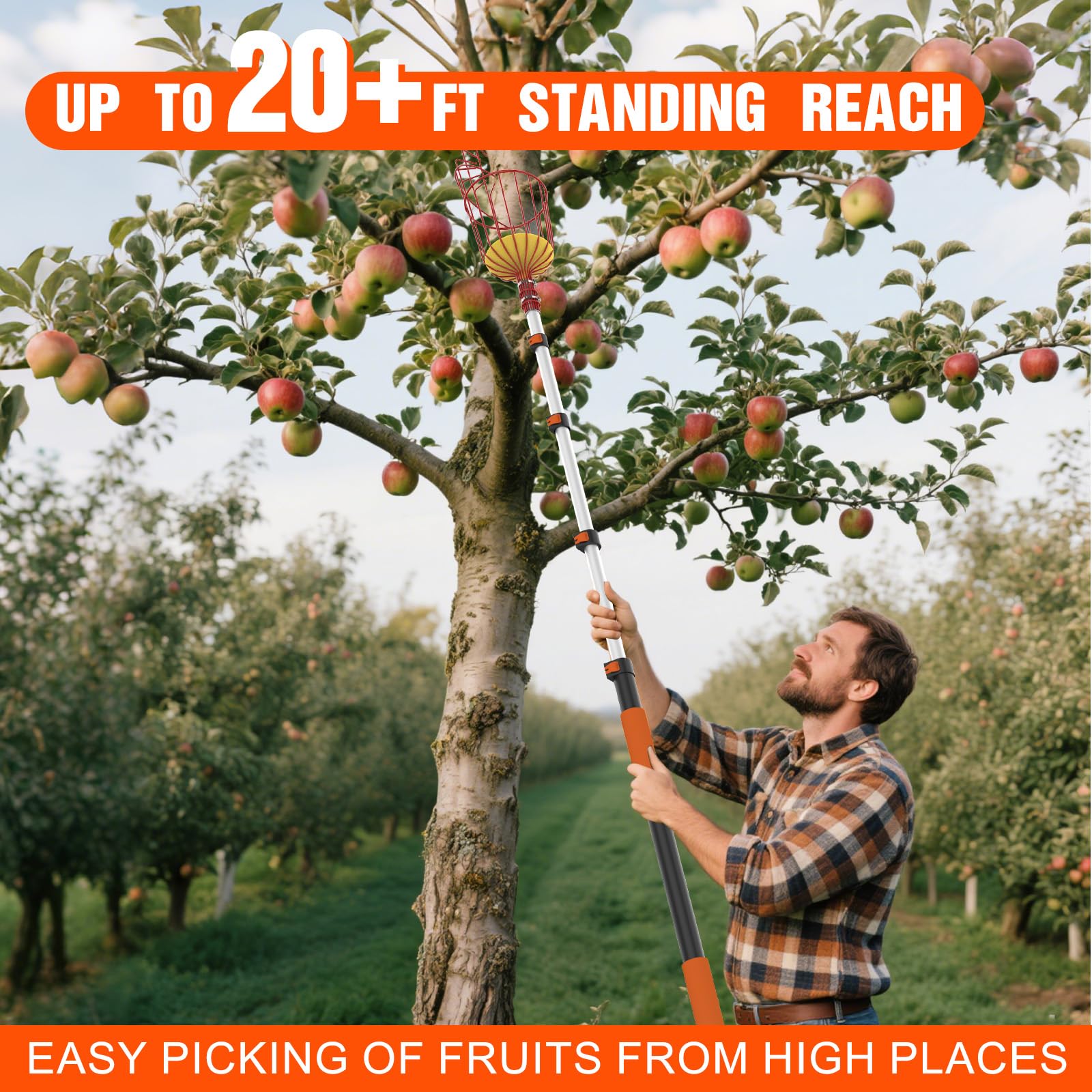 LAANPOLE 26 ft reach eliminates the ladder for tall trees.