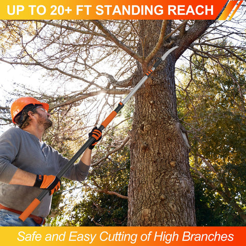 LAANPOLE backyard pruning setup supports easy high-branch trimming from ground.