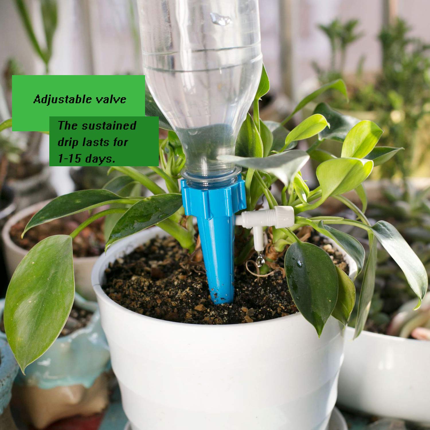 LABOTA scene with potted plants and hanging baskets receiving consistent irrigation.