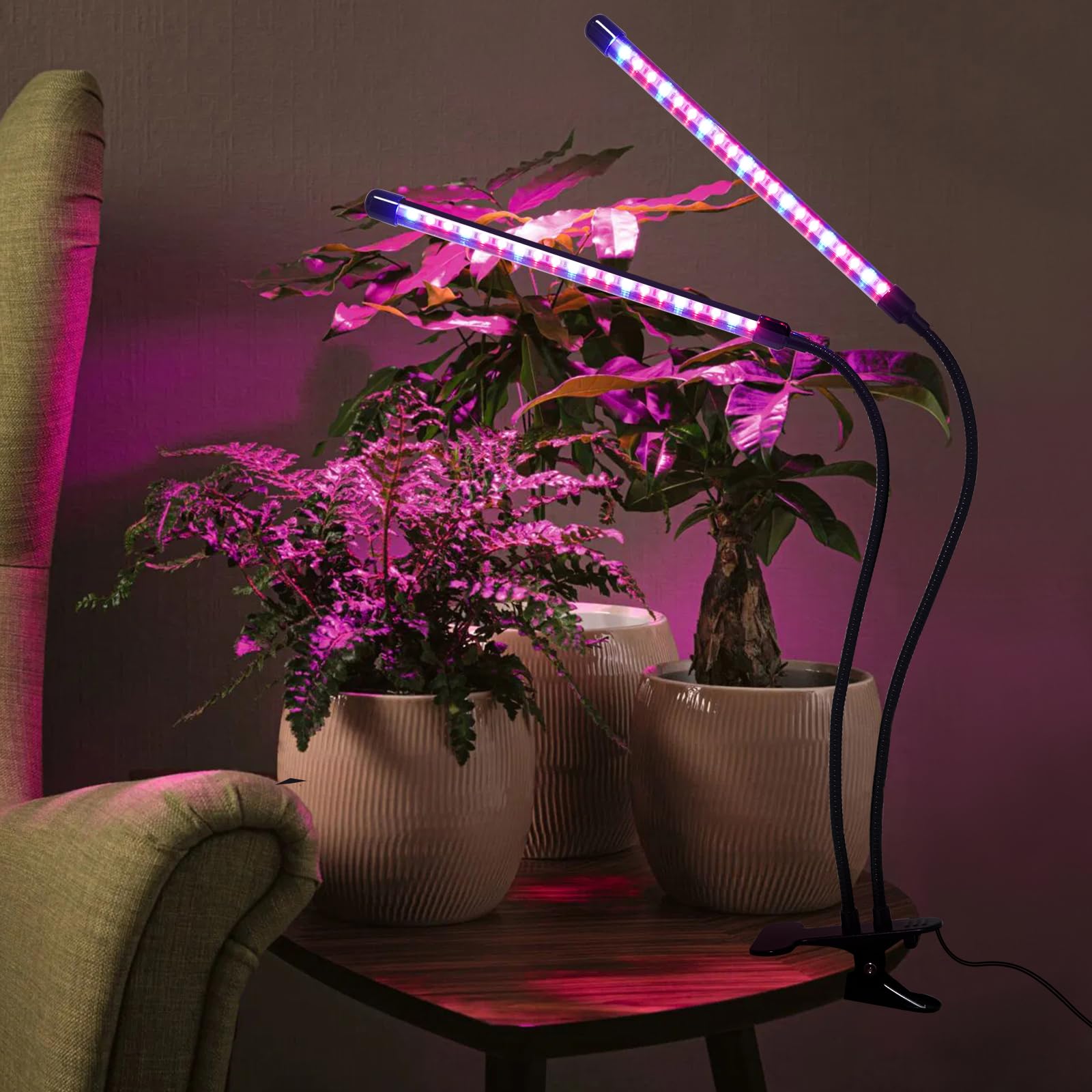 LADATE timer modes 3/6/9H automate lighting according to plant needs.