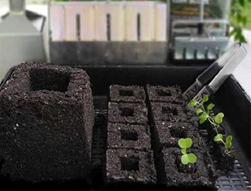 Ladbrooke Cubic Inserts compatible with Multi 6 for efficient germination.