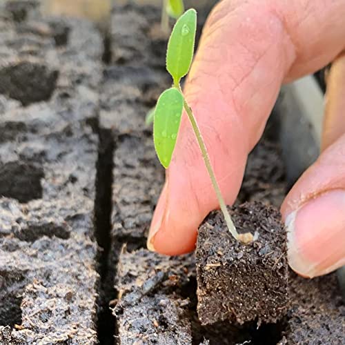 Ladbrooke Cubic Inserts manufactured in England for reliable seed placement.