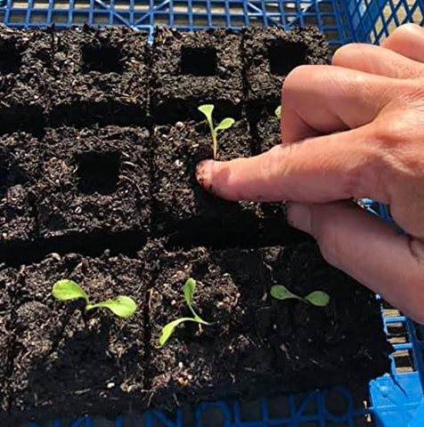 Ladbrooke Micro 20 small blocks ready for seed-start applications
