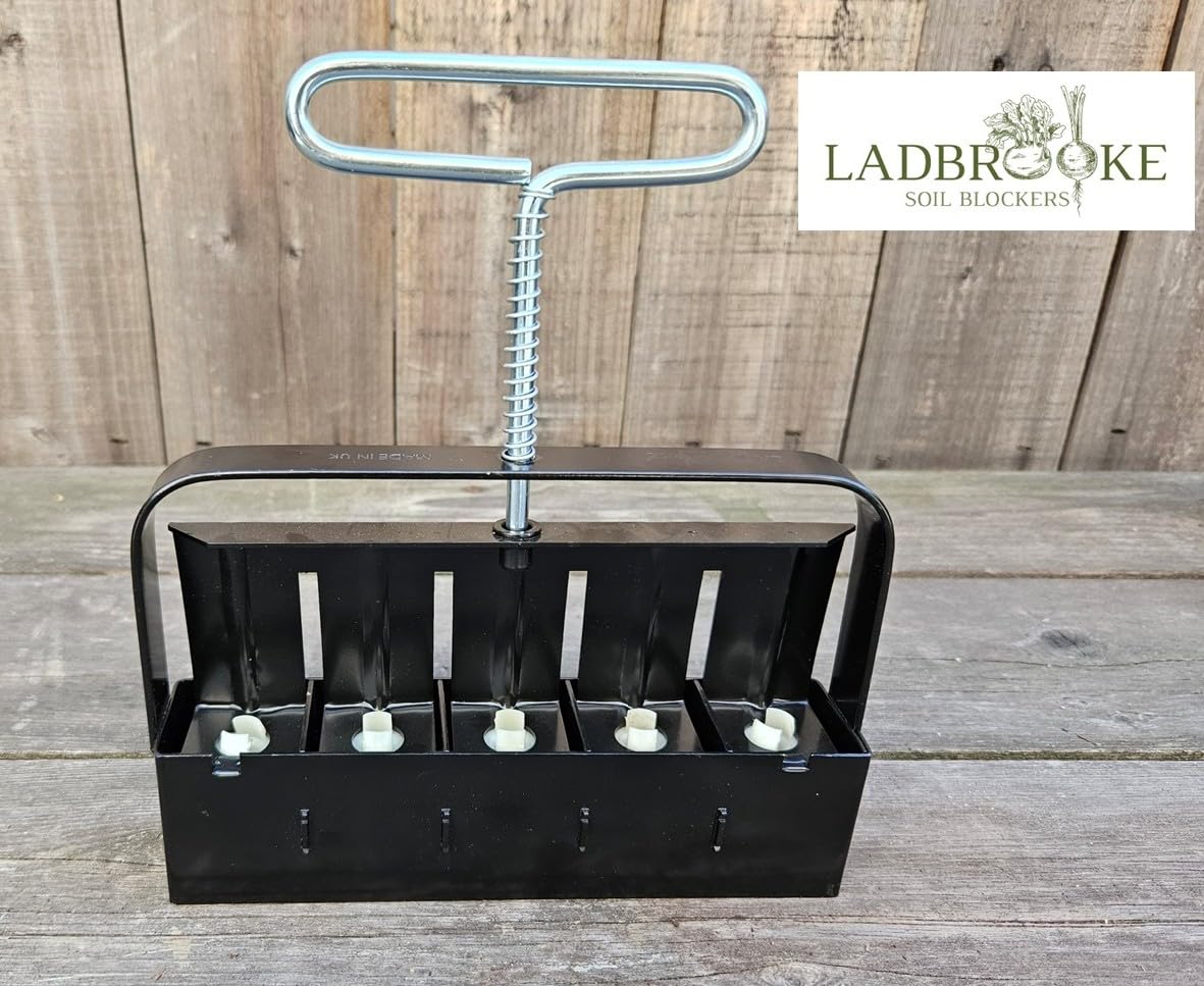 Ladbrooke Mini 5 seed pins packet prepared for sowing